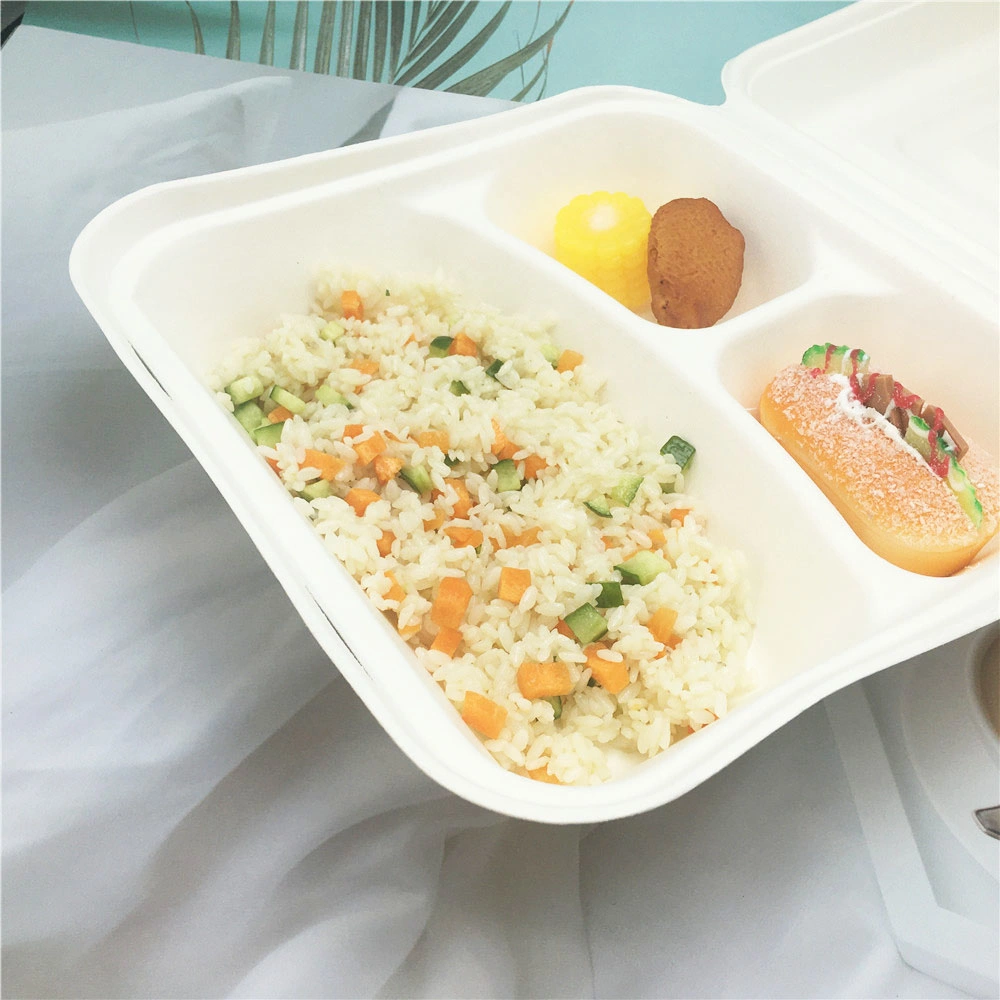 Sugarcane Bagasse Fast Food Container Box